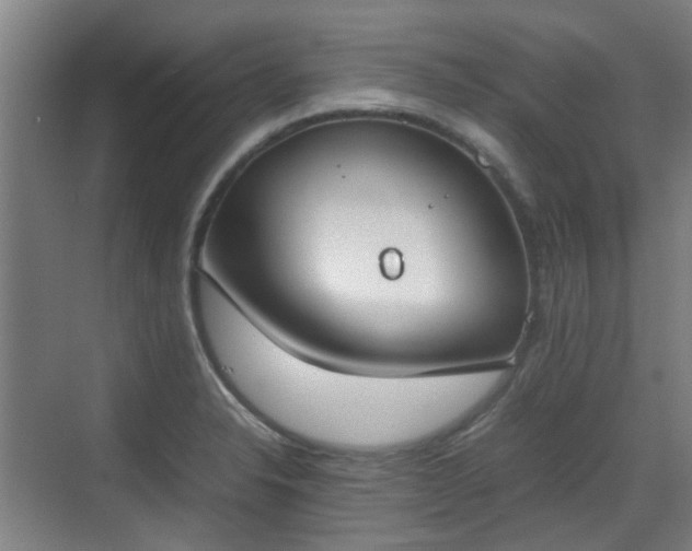 X0000070381326200606161334