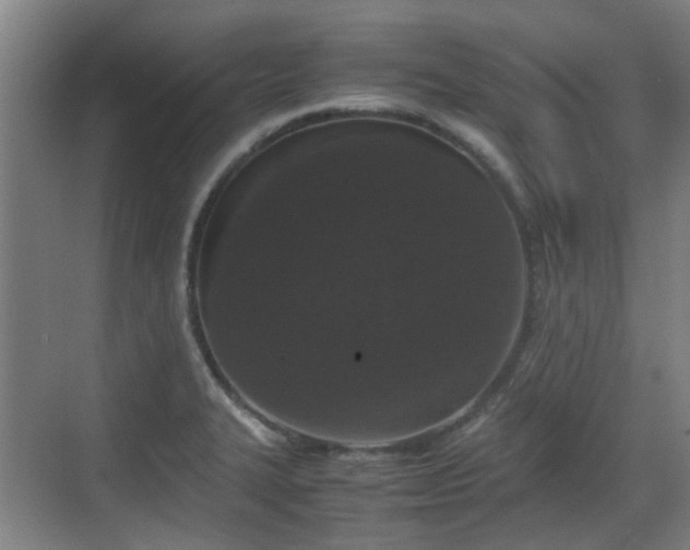 X0000070381327200606161334