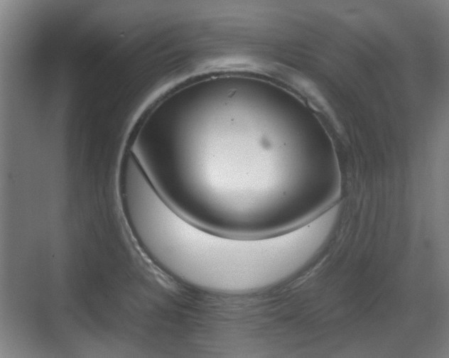 X0000070381328200606161334