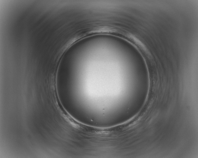 X0000070381329200606161334