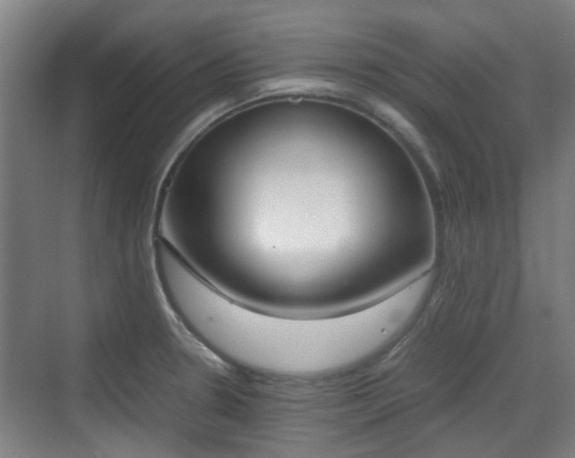 X0000070381330200606161334