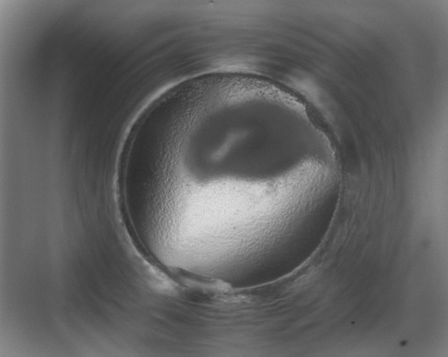 X0000070381331200606161334