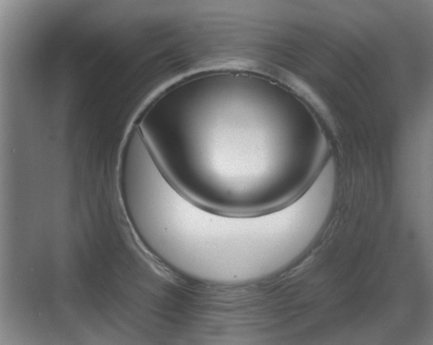 X0000070381332200606161334