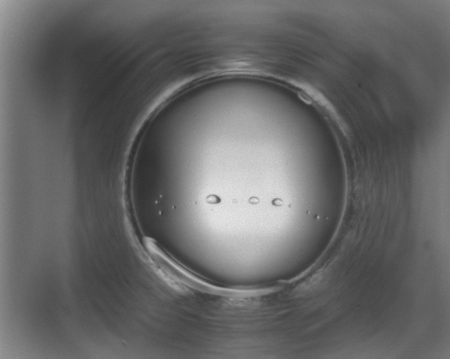 X0000070381333200606161334