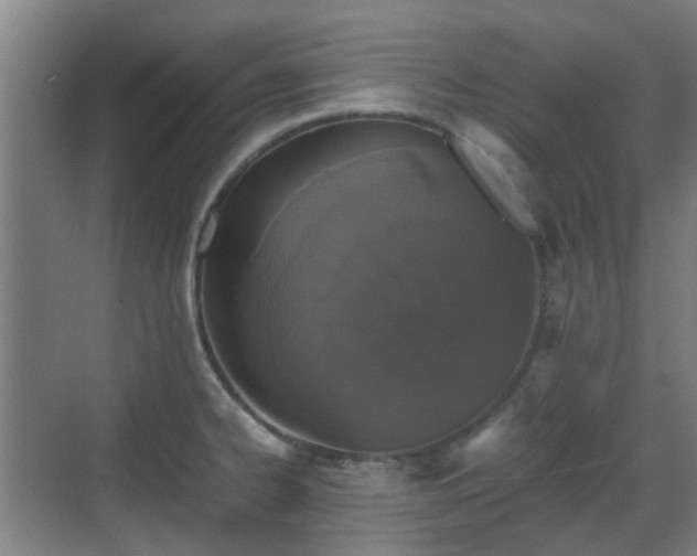 X0000070381334200606161334