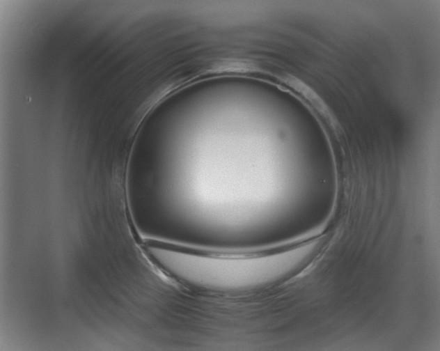 X0000070381337200606161334