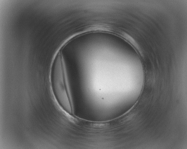 X0000070381339200606161334