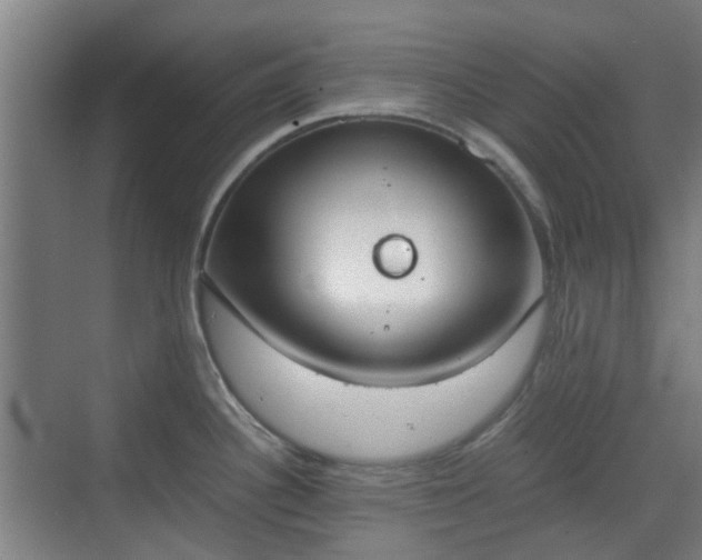 X0000070381340200606161334