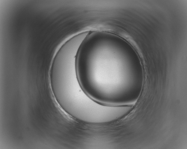 X0000070381344200606161334