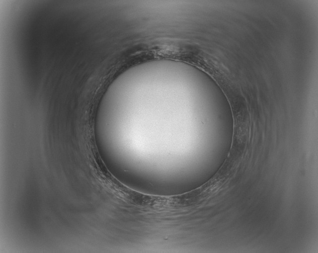 X0000070381345200606161333