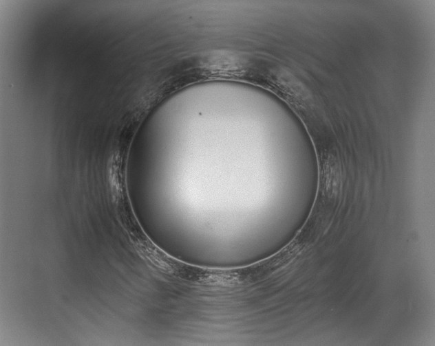 X0000070381346200606161333