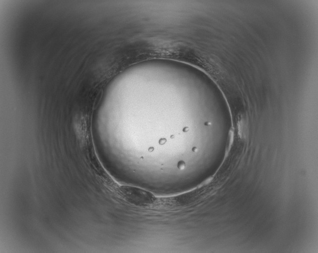 X0000070381347200606161333