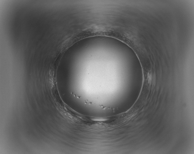 X0000070381348200606161333