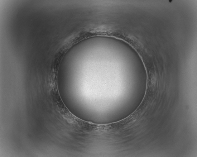 X0000070381350200606161333