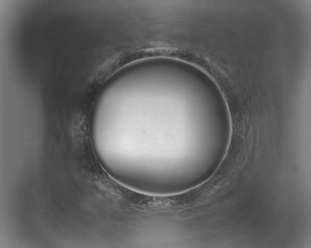 X0000070381351200606161333