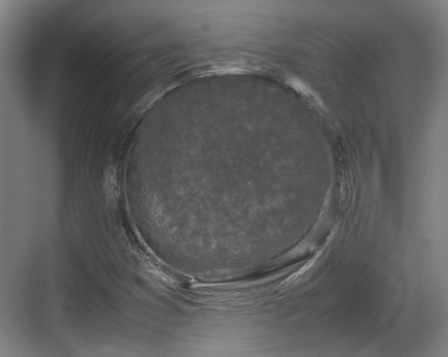 X0000070381353200606161333