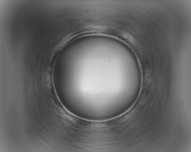 X0000070381354200606161333