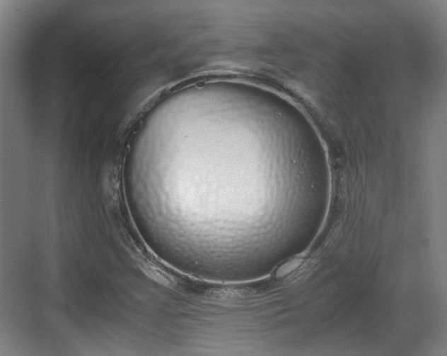 X0000070381355200606161333