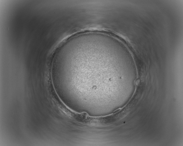 X0000070381359200606161333