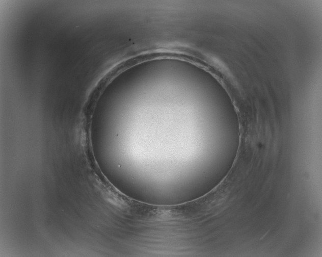 X0000070381360200606161333