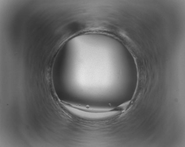 X0000070381361200606161333