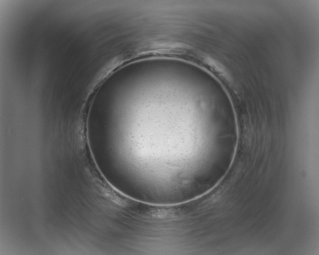 X0000070381362200606161333