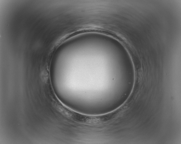 X0000070381363200606161333