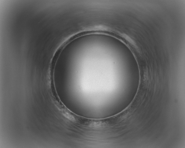 X0000070381364200606161333