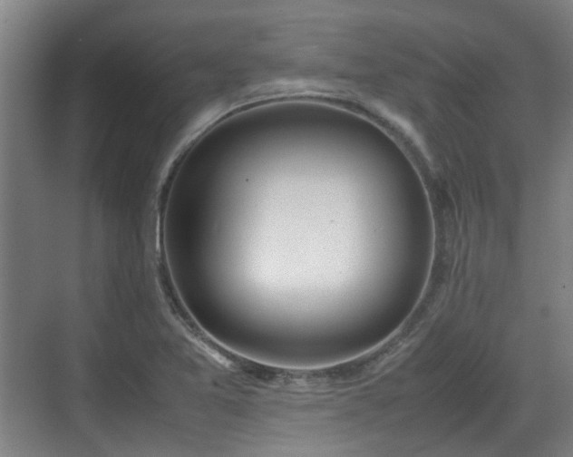 X0000070381365200606161333