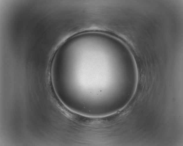 X0000070381367200606161333