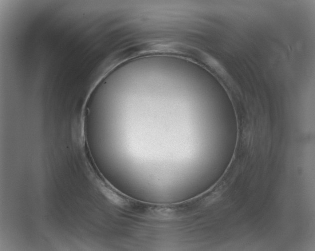 X0000070381370200606161333