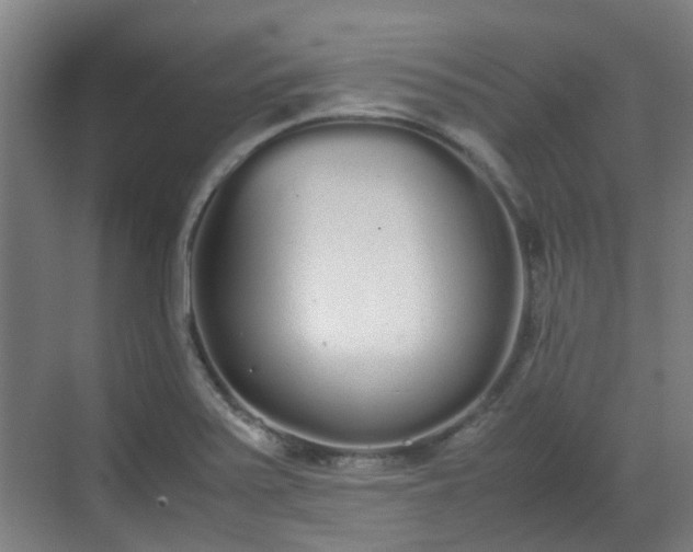 X0000070381371200606161333