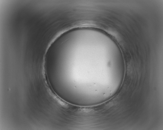 X0000070381374200606161333