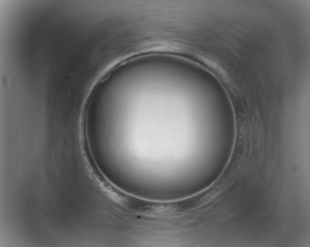 X0000070381375200606161333