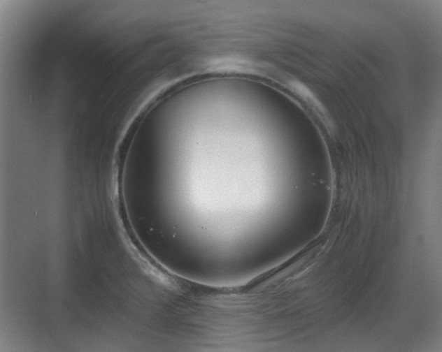 X0000070381376200606161333