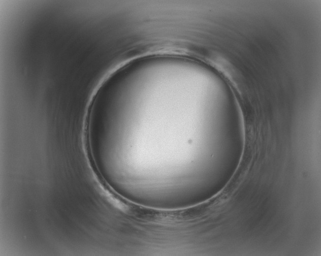 X0000070381379200606161333