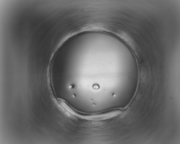 X0000070381382200606161333