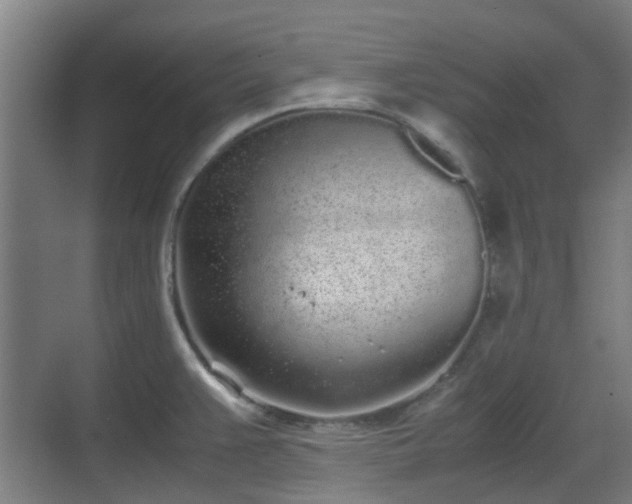 X0000070381383200606161333