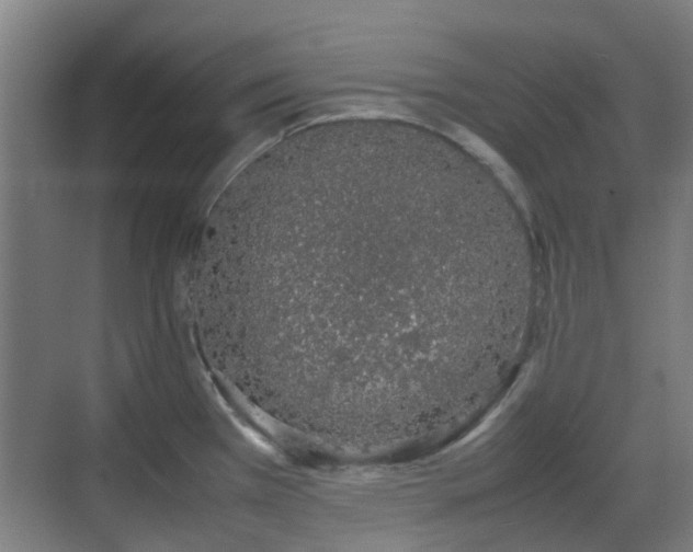 X0000070381385200606161333