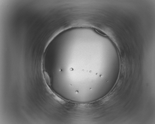 X0000070381390200606161332