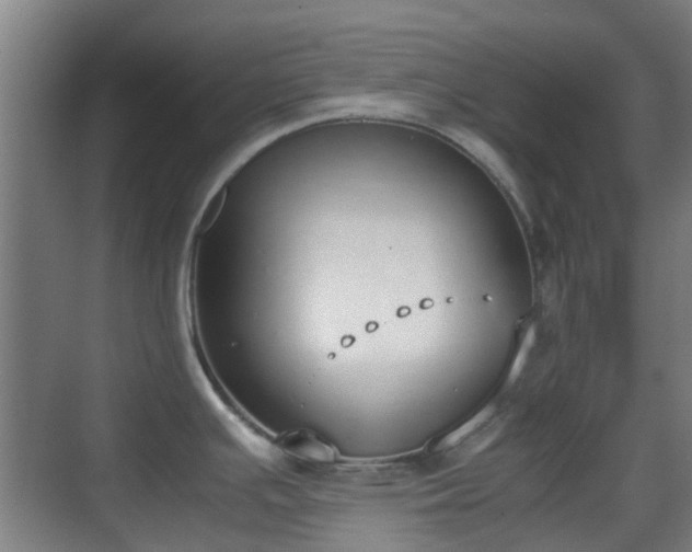 X0000070381391200606161332