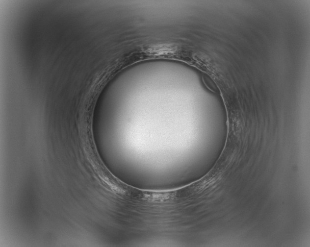 X0000070381393200606161332