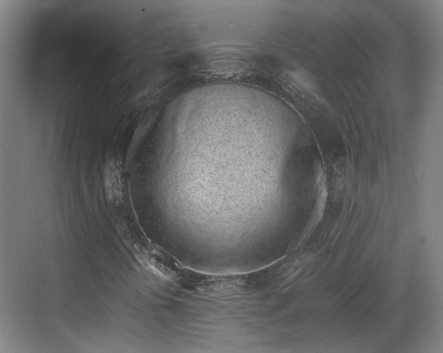 X0000070381394200606161332