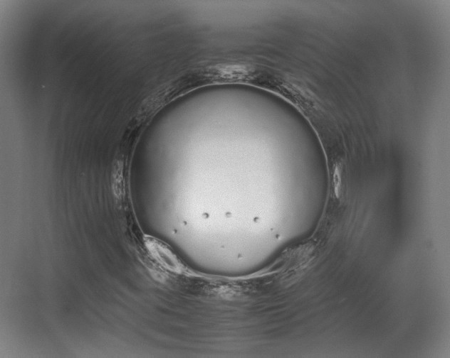 X0000070381395200606161332