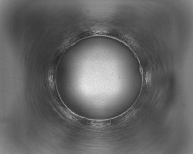 X0000070381396200606161332