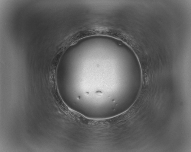 X0000070381397200606161332