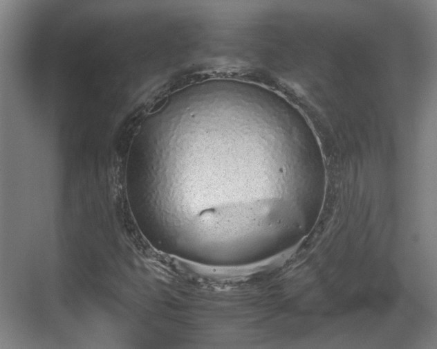 X0000070381399200606161332