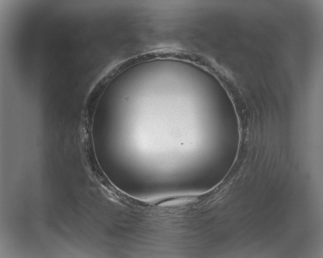 X0000070381400200606161332