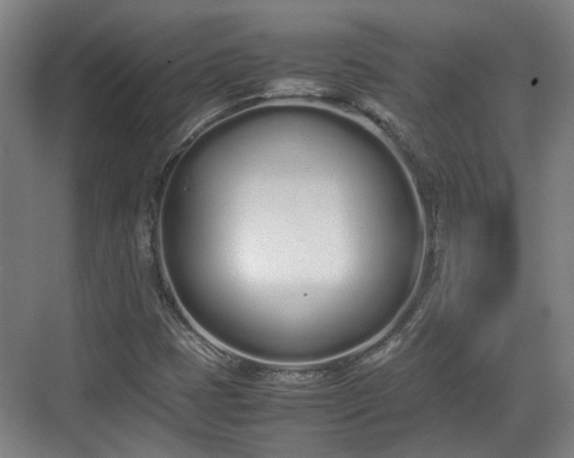 X0000070381401200606161332