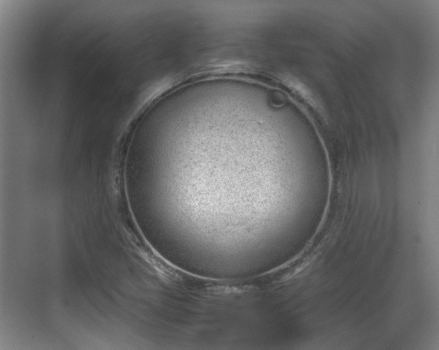 X0000070381405200606161332